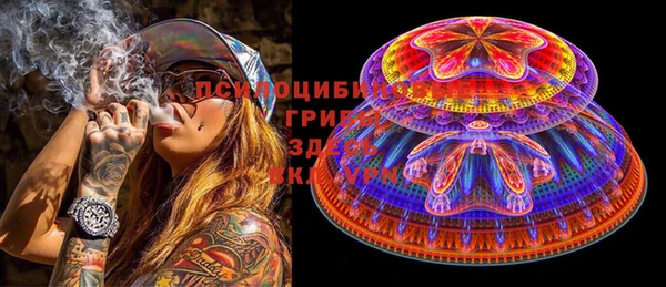 прущие грибы Богородицк