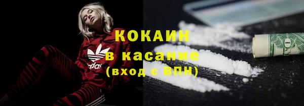 прущие грибы Богородицк