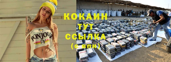прущие грибы Богородицк