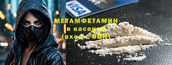прущие грибы Богородицк