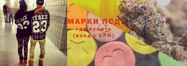 прущие грибы Богородицк